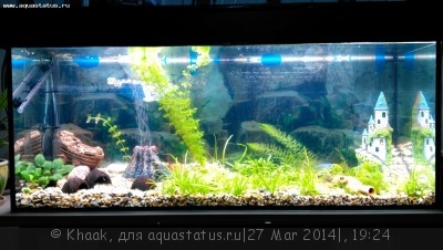 Мой новый аквариум 290 литров Khaak  - IMG_20140313_224945.jpg