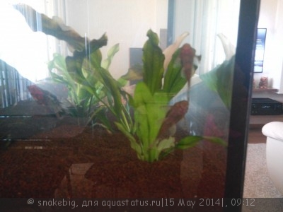 Сквозной аквариум 230 литров snakebig  - IMG_20140511_153413.jpg