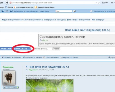 Ежегодный конкурс-голосование "Лучшие аквариумы форума"