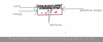 Как увеличить срок хранения живого мотыля?