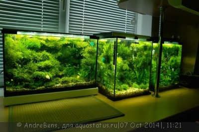 Светодиодное освещение аквариума - my_3.jpg