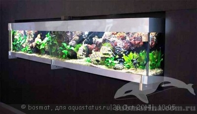 Мой аквариум Боцарий 280 литров bosmat  - img_usr_1291665111.jpg