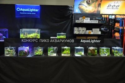 1-й российский конкурс ПИКО аквариумов Aqualighter Pico