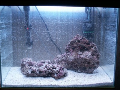 Решился на морской аквариум 30 литров Indi  - 68ac76e33555.jpg