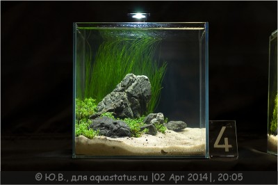 1-й российский конкурс ПИКО аквариумов Aqualighter Pico