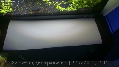 Светодиодное освещение аквариума - DSC_0016.JPG