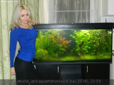 Новый конкурс: Мисс  аквариумистка AQUASTATUS-2014