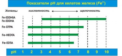 Удобрение для растений, когда лучше пускать?