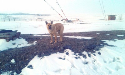 Фото наших участников