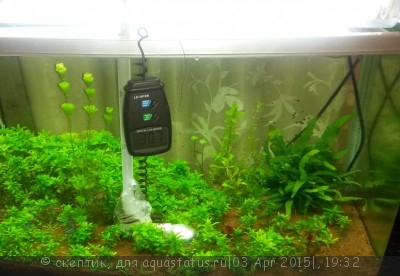 Фото Светодиодное освещение аквариума (photo#67348)