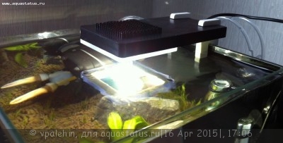 Светодиодное освещение аквариума - IMG_0677.JPG