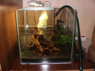 Мой аквариум 30 литров mishael  - 0_42db4_2f71efa5_l.jpg