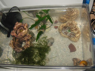 Фото Мини аквариум 30 литров Рикити  (photo#72074)