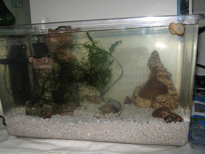 Мини аквариум 30 литров Рикити  - 120464536.jpg
