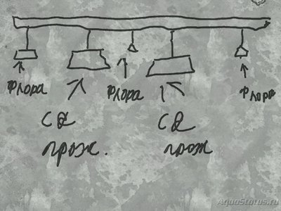 Подбор освещения для аквариума