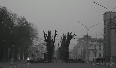 Аквариум "Максималус бюджетикус" на 160 литров (Cameraman)