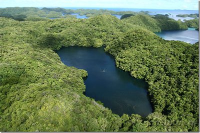 Фотографии необычных водных обитателей