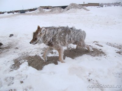 Рыбалка