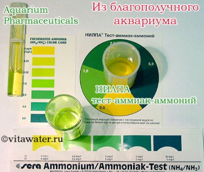 Цветовая шкала теста SERA на аммиак