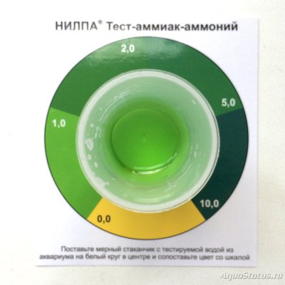 Мой псевдоморской аквариум 190л (deal2008) 