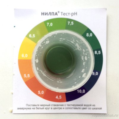 Мой псевдоморской аквариум 190л (deal2008) 