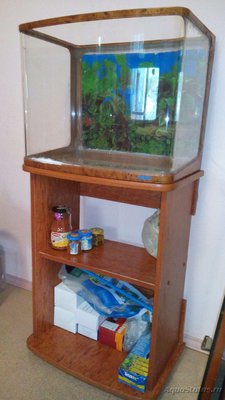Мой аквариум 60 литров Акварина  - DSC_0447.jpg