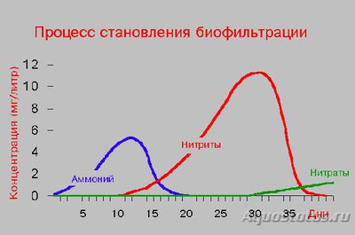 Фото Мутная вода в аквариуме, муть в аквариуме (photo#83648)