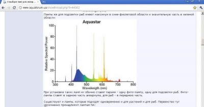 Освещенность в аквариуме и растения.