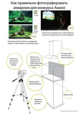 Как фотографировать аквариум - Как-фотографировать-аквариум-по-Амано.jpg