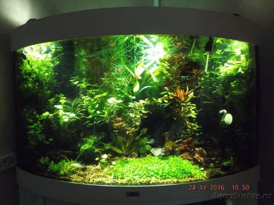 Светодиодное освещение аквариума - 6+6+8.JPG