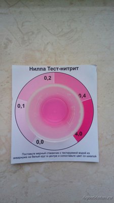 Запуск моего аквариума - травника на 150 литров (Кристина Федосеева) 