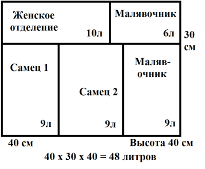 Планирование аквариума