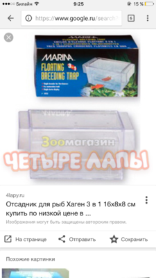 Фото Мой псевдоморской аквариум 190л deal2008  (photo#87905)