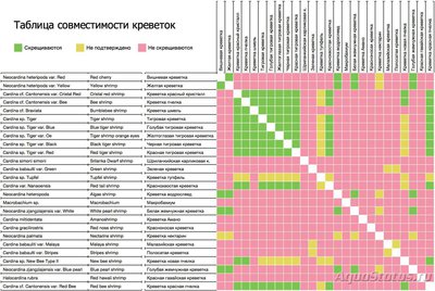 Селекция и скрещивание аквариумных креветок