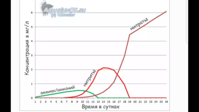 Запуск нового аквариума 120 литров (Аленка707)