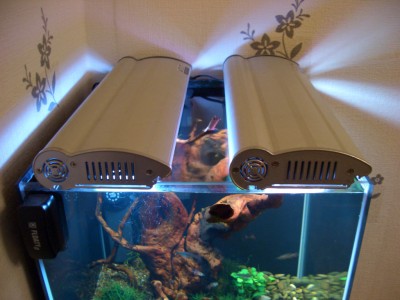 Пресноводный мини аквариум на 30 литров (Roman)
