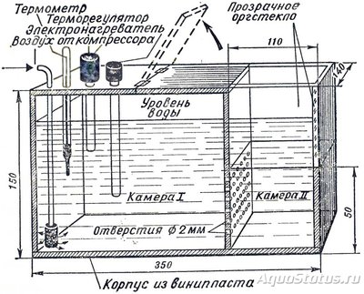 Как отделить артемию от скорлупы?