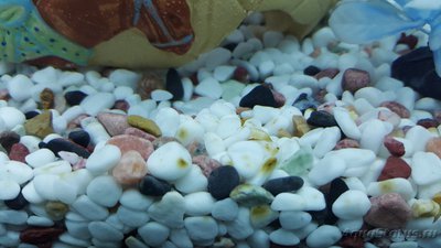 Мой аквариум JUWEL LIDO 120l LED (Натулька) 