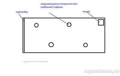 Фальшдно, донный фильтр в аквариуме