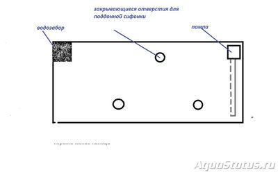 Фальшдно, донный фильтр в аквариуме