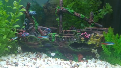 Мой аквариум JUWEL LIDO 120l LED (Натулька) 