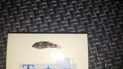 Мой аквариум JUWEL LIDO 120l LED (Натулька) 