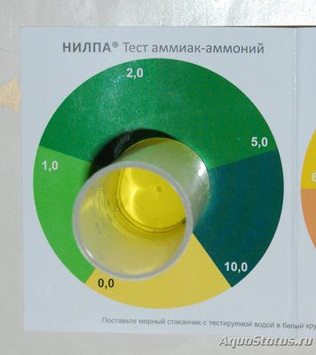 Первый в жизни аквариум на 70 литров (lorika)