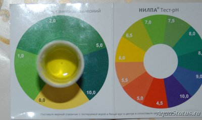 Первый в жизни аквариум на 70 литров (lorika)