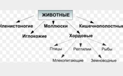 Мальки золотых рыбок