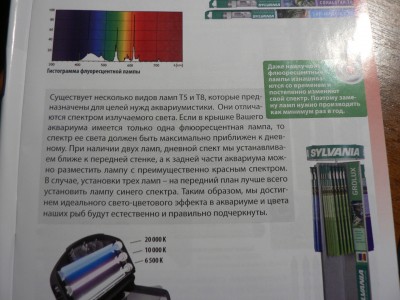 флюоресцентные лампы - P10801131.JPG