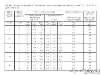 Полезные бактерии в аквариуме